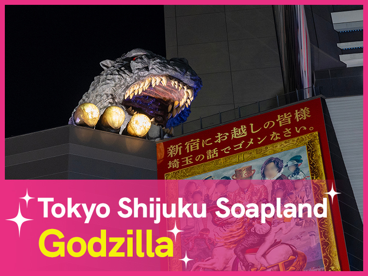 Characteristics of Shinjuku Soaplands